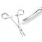 Curved Kelly Forceps 5.5"