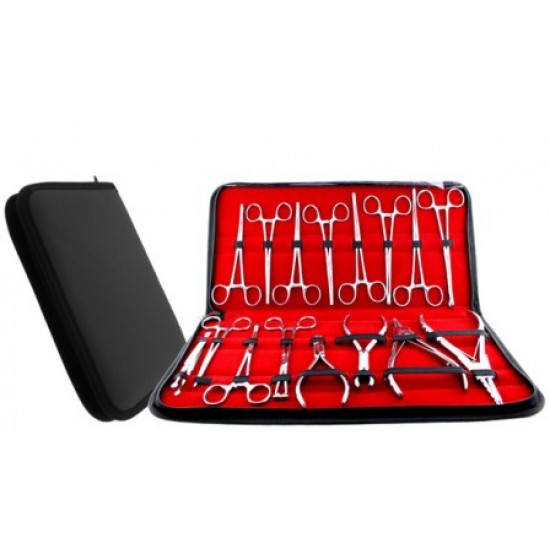 Piercing Tools Kits